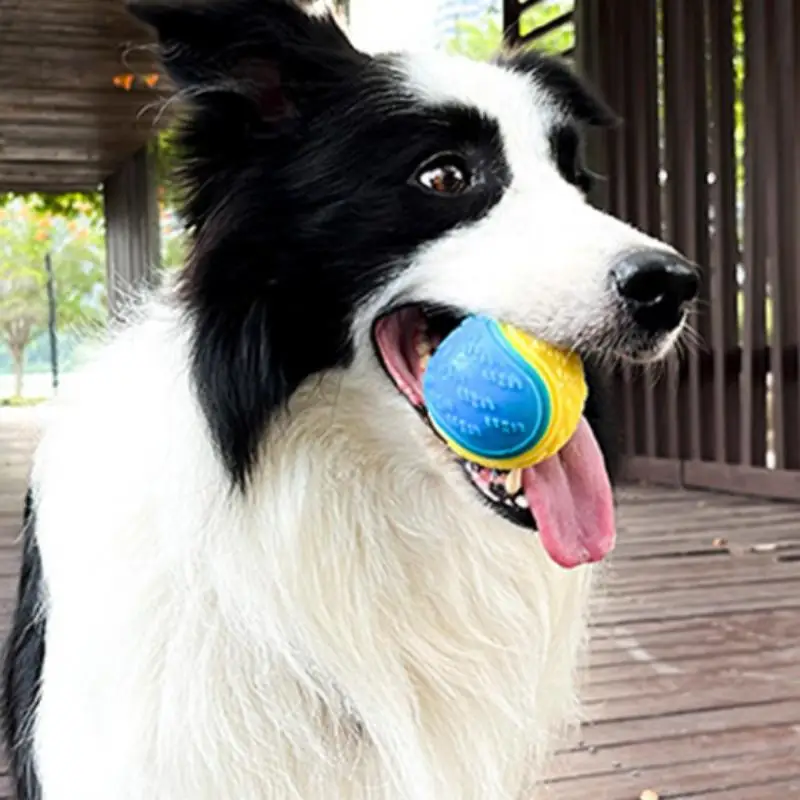 Pelota luminosa de goma con sonido para perros – juguete masticable - imagen 3