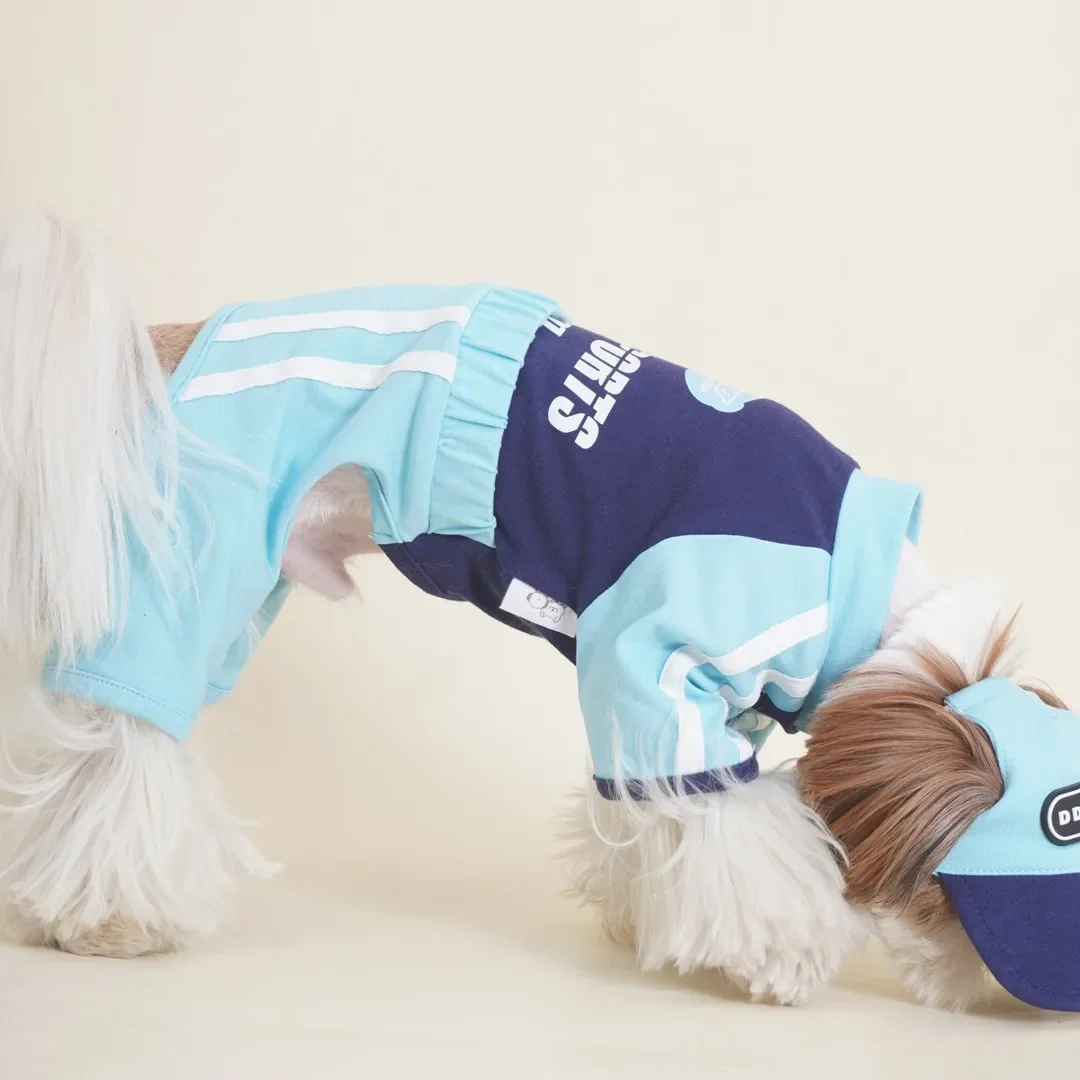 Mono para mascotas para otoño e invierno, oso nevado, lindo sombrero para el sol deportivo, perro pequeño, gato, ropa deportiva de cuatro patas, ropa para cachorros - imagen 3