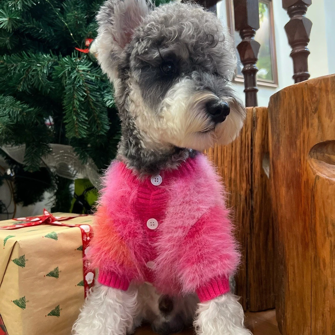 Otoño e Invierno cálido suéter para mascotas cárdigan de punto de felpa gato Schnauzer abrigo de peluche ropa para perros pequeños