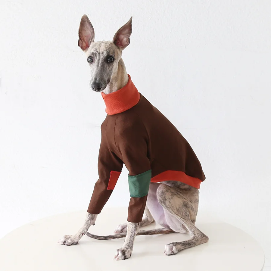 Suéter de punto de invierno para perros Whippet - Manga larga, cómodo - imagen 4