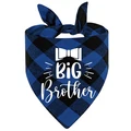 blue plaid-brother