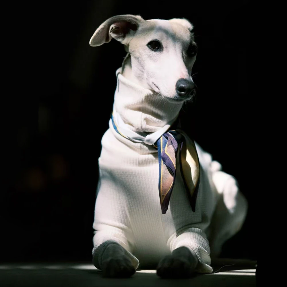 Camiseta manga larga para galgo italiano y whippet – Estilo japonés - imagen 2
