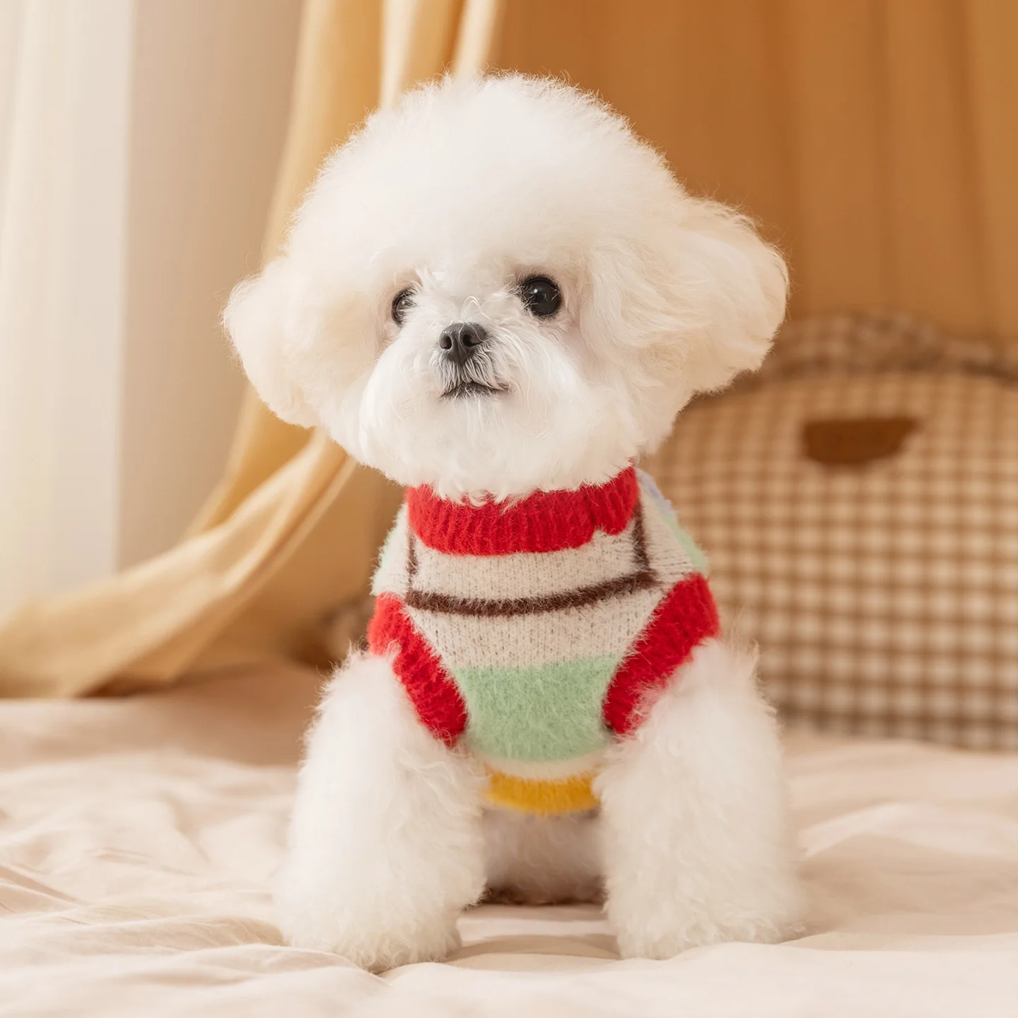 Otoño e Invierno mascota dibujos animados estrella raya suéter cálido terciopelo ropa de hogar abrigo de gato ropa de cachorro para perros pequeños - imagen 3