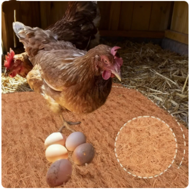Almohadillas para nido de pollo de color marrón coco, fácil de limpiar, para poner huevos, gallinero, Material para anidar, ropa de cama para mascotas, suministros para aves de corral para gallinas - imagen 3