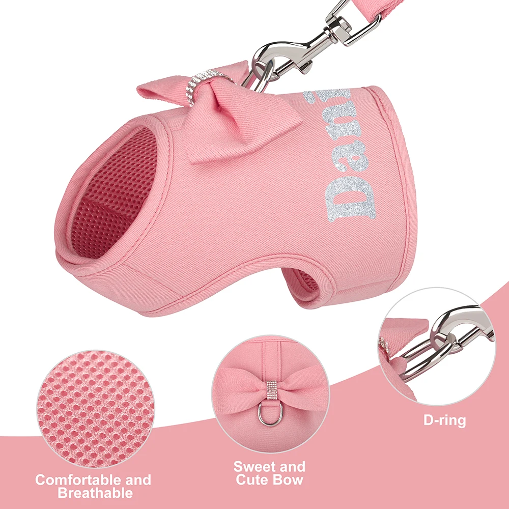 Arnés y correa personalizados para perros – Impresión de nombre incluida - imagen 4