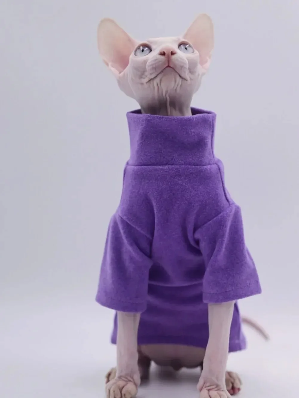 Sphynx-ropa para gatos de algodón suave para bebé, traje de invierno para gato, Color sólido, Devon, suéter sin pelo para gato, disfraz, ropa para mascotas - imagen 4