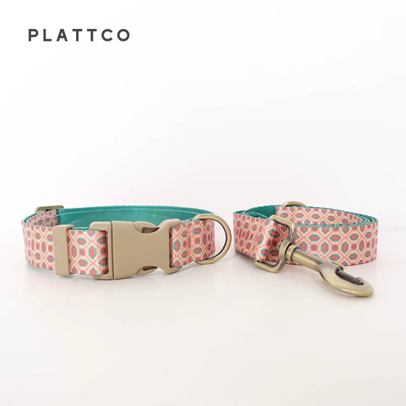 Dog Collar Leash Set