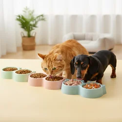 Plato comedero y bebedero doble antideslizante para gatos