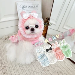 Orejeras con lazo estilo teddy para perros Yorkshire y gatos de pelo largo