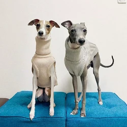 Chaleco de punto cálido para mascotas, chaqueta de cuello alto para perros, ropa de tamaño pequeño y mediano, suéter Whippet de galgo italiano