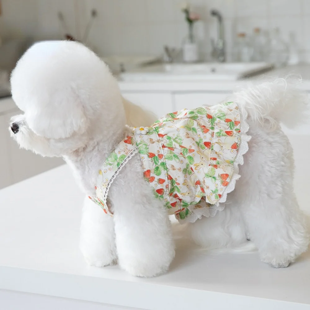 INS-vestido de tirantes con estampado de fresas para mascotas, falda de encaje, vestido de peluche para perros y gatos, ropa para cachorros, ropa para perros - imagen 4
