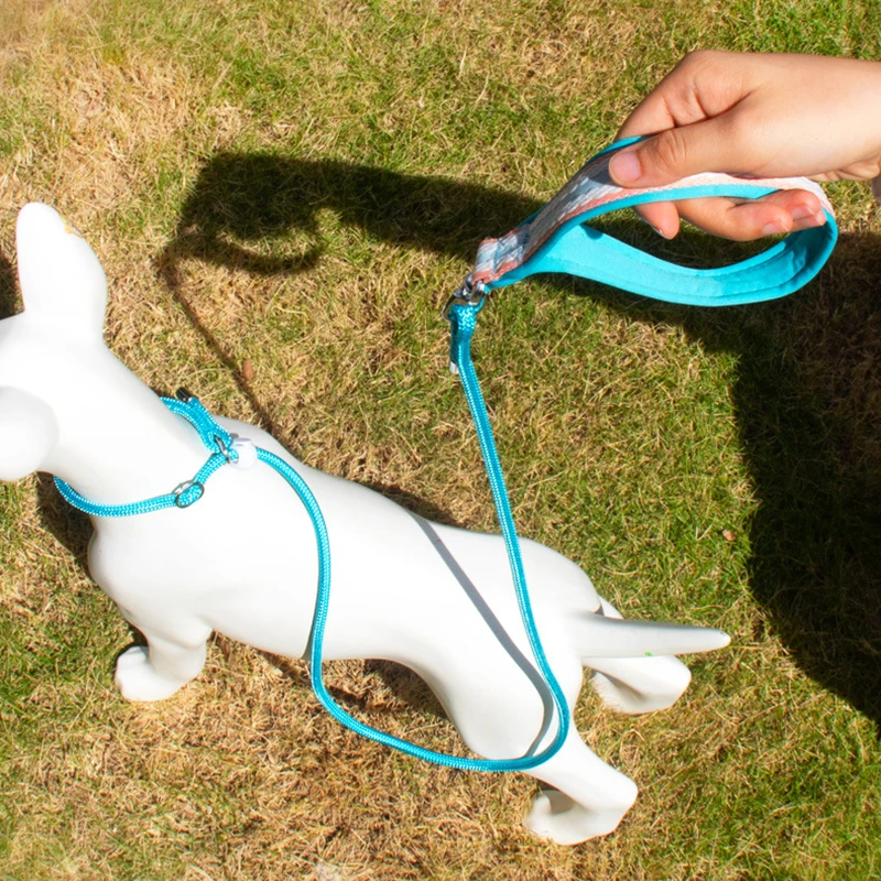 Correas fuertes para perros de 150cm/59,06 pulgadas, correa de nailon para caminar para perros, correas de entrenamiento para cachorros, Collar ajustable para mascotas, correa de plomo, suministros para mascotas