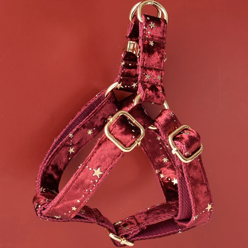 Collares de identificación personalizados para perros pequeños, medianos y grandes, vino tinto, logotipo grabado gratis, Cocker americano Spaniel Star 03 - imagen 5