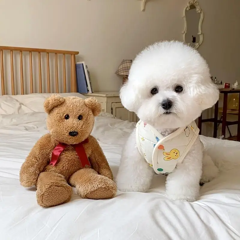 Abrigo de algodón con dibujos animados para perro, chaqueta, ropa para perro mascota, ropa estampada para perro, trajes cálidos más gruesos para otoño e invierno, Yorkshire, Chihuahua - imagen 4