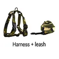 Harness   leash