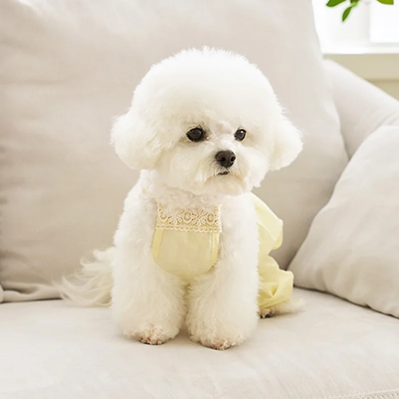 Camiseta sin mangas para mascotas, mono transpirable de dos piernas para perros y gatos, oso de peluche, ropa para perros, sombrero de encaje, ropa para cachorros, primavera/verano