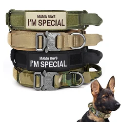 Collar nylon resistente para perros medianos y grandes – Paseo y entrenamiento