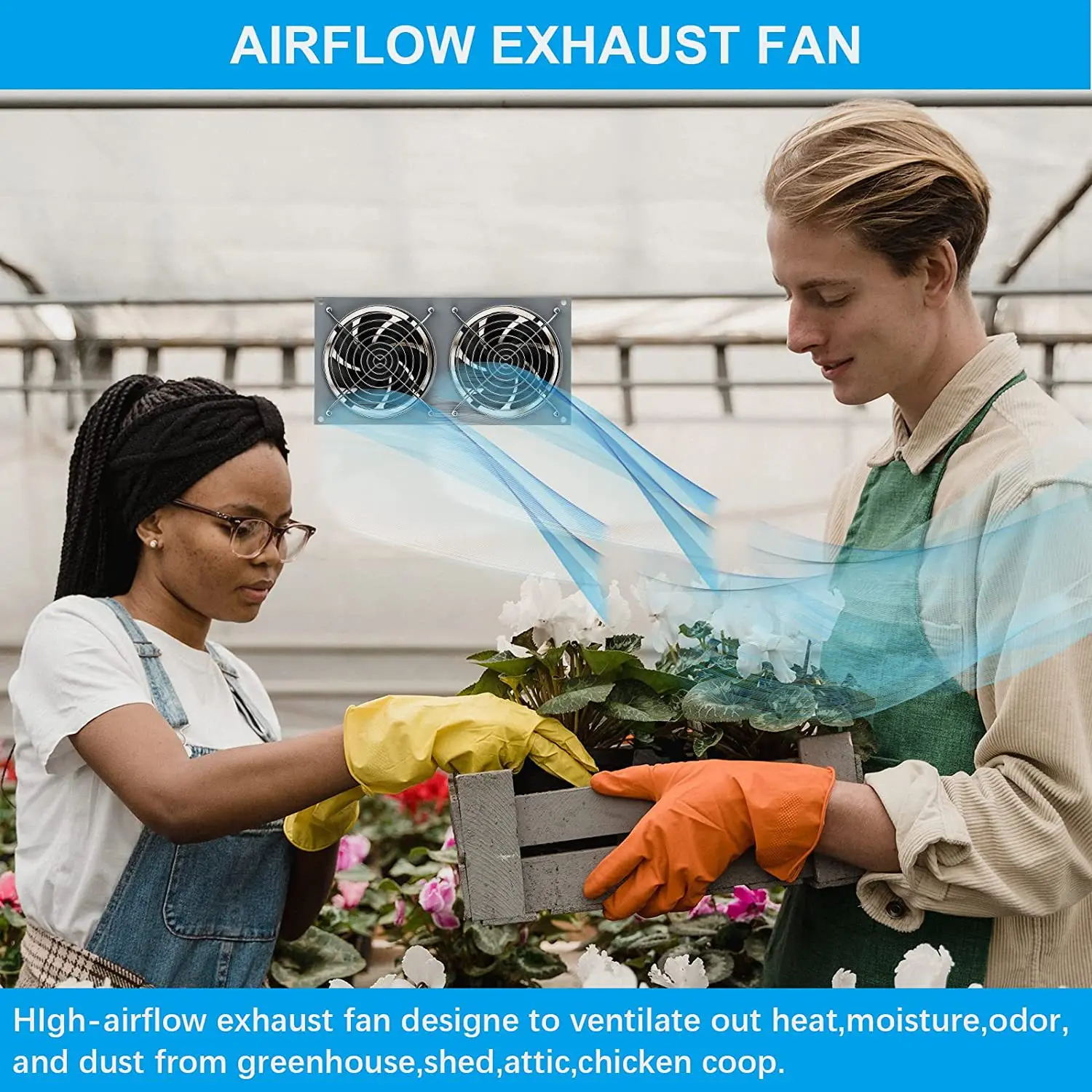 2b76c41dde9391dbdf02b41ce4e836