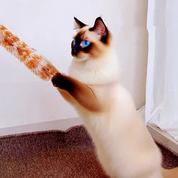 Juguete interactivo para gatos con plumas, cuerda de lana y cascabel