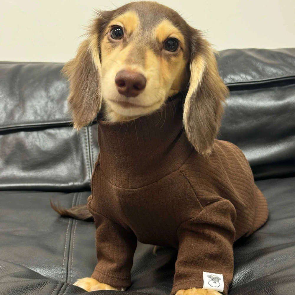 Abrigo suave manga larga para perros pequeños y medianos Dachshund - imagen 4