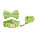 Bow Collar Leash Set