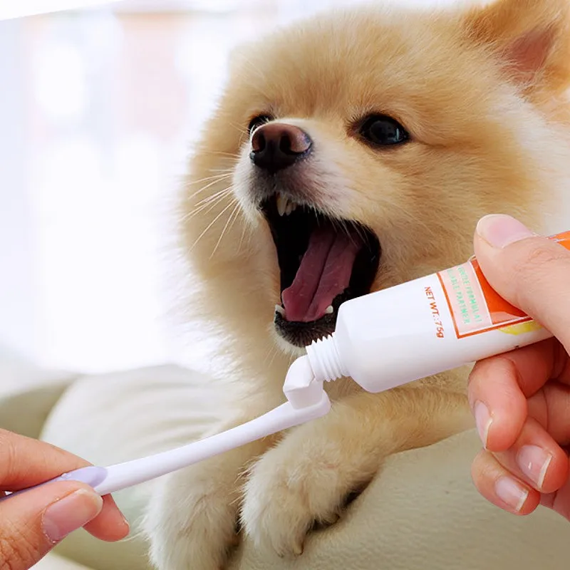 Cepillo dental mini para perros con cerdas suaves higiene bucal - imagen 5