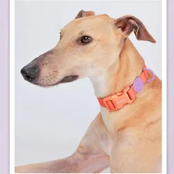 Collar para perro pequeño de goma de PVC resistente al agua Macaron, Collar ajustable duradero antiolor para mascotas, Collar básico suave para cachorros multicolores para gatos