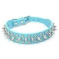 Collar Light Blue