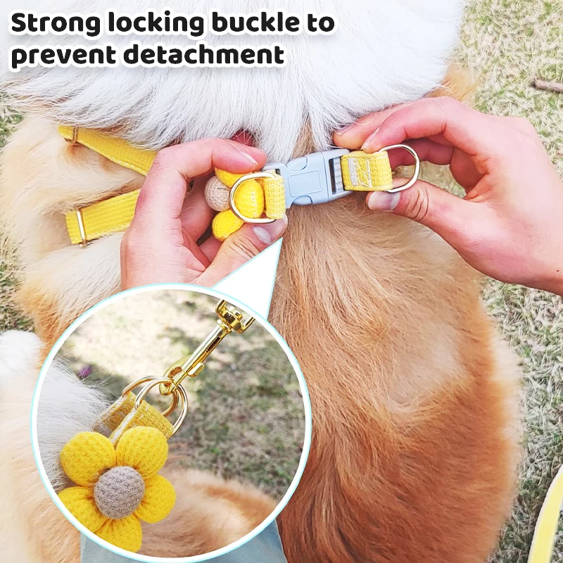 Arnés transpirable de verano para perro con correa – Paseos cómodos - imagen 3