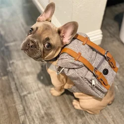 Mochila transportín para gatos y perros pequeños