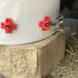 Bebederos horizontales para aves de corral - automático, 10 uds
