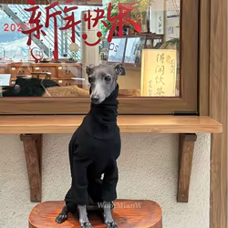 Jersey de punto para Galgo Italiano – Suave, elástico y moderno