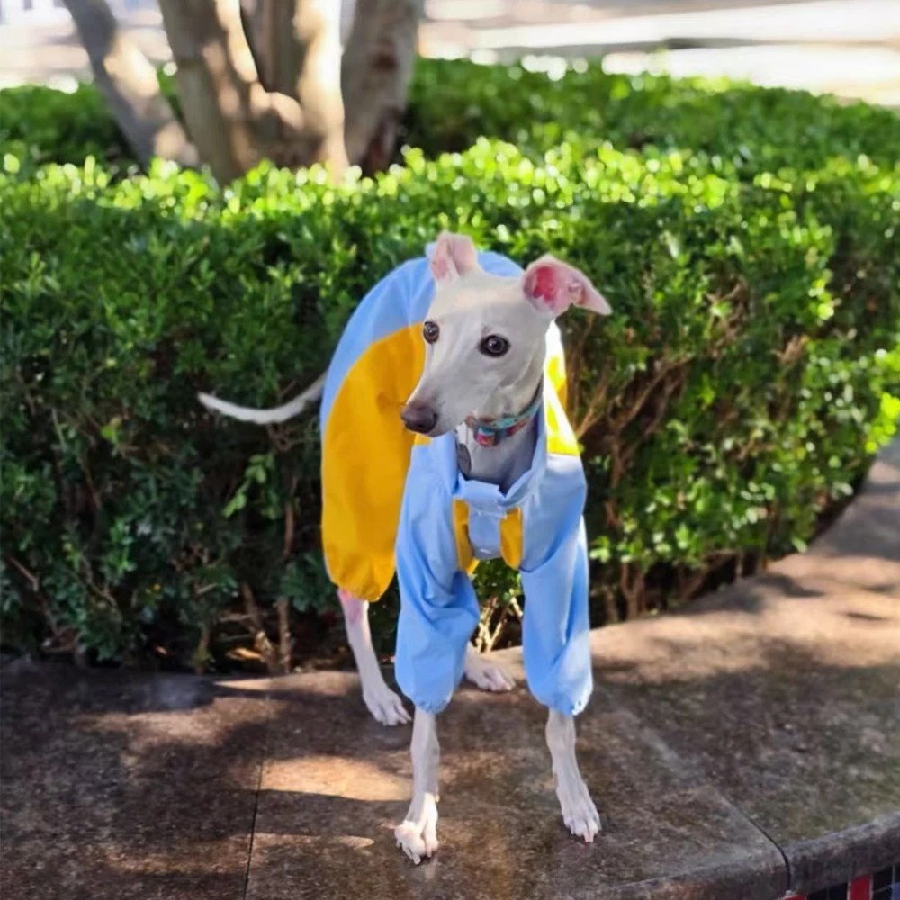 Chaqueta cortavientos azul-amarilla para galgo italiano, abrigo de 4 patas, sudadera suave para perros pequeños y medianos Whipbit - imagen 3
