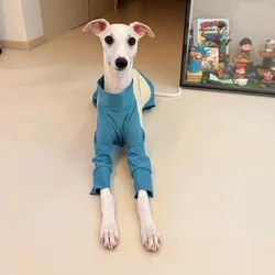 Protector solar para perros pequeños y camiseta de verano ligera