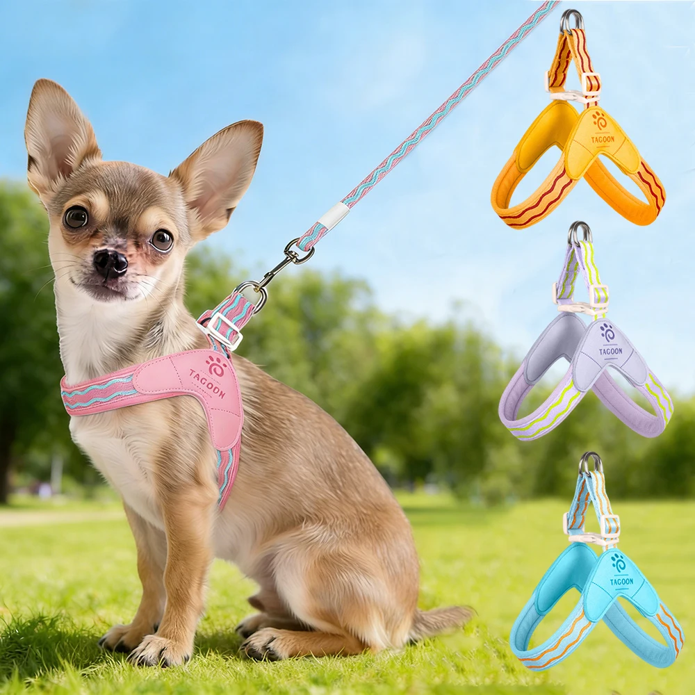 Arnés acolchado para perros pequeños con correa – Chihuahua y Caniche - imagen 3