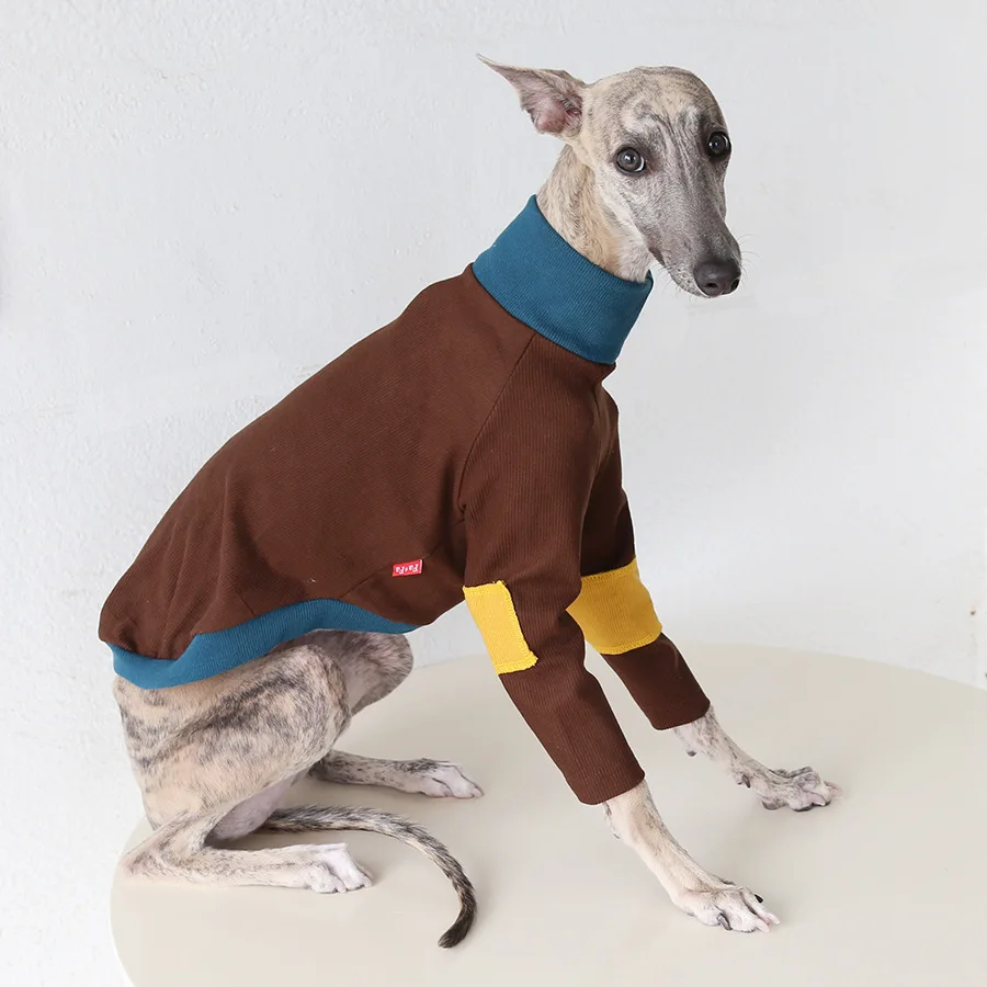 Suéter de punto de invierno para perros Whippet - Manga larga, cómodo