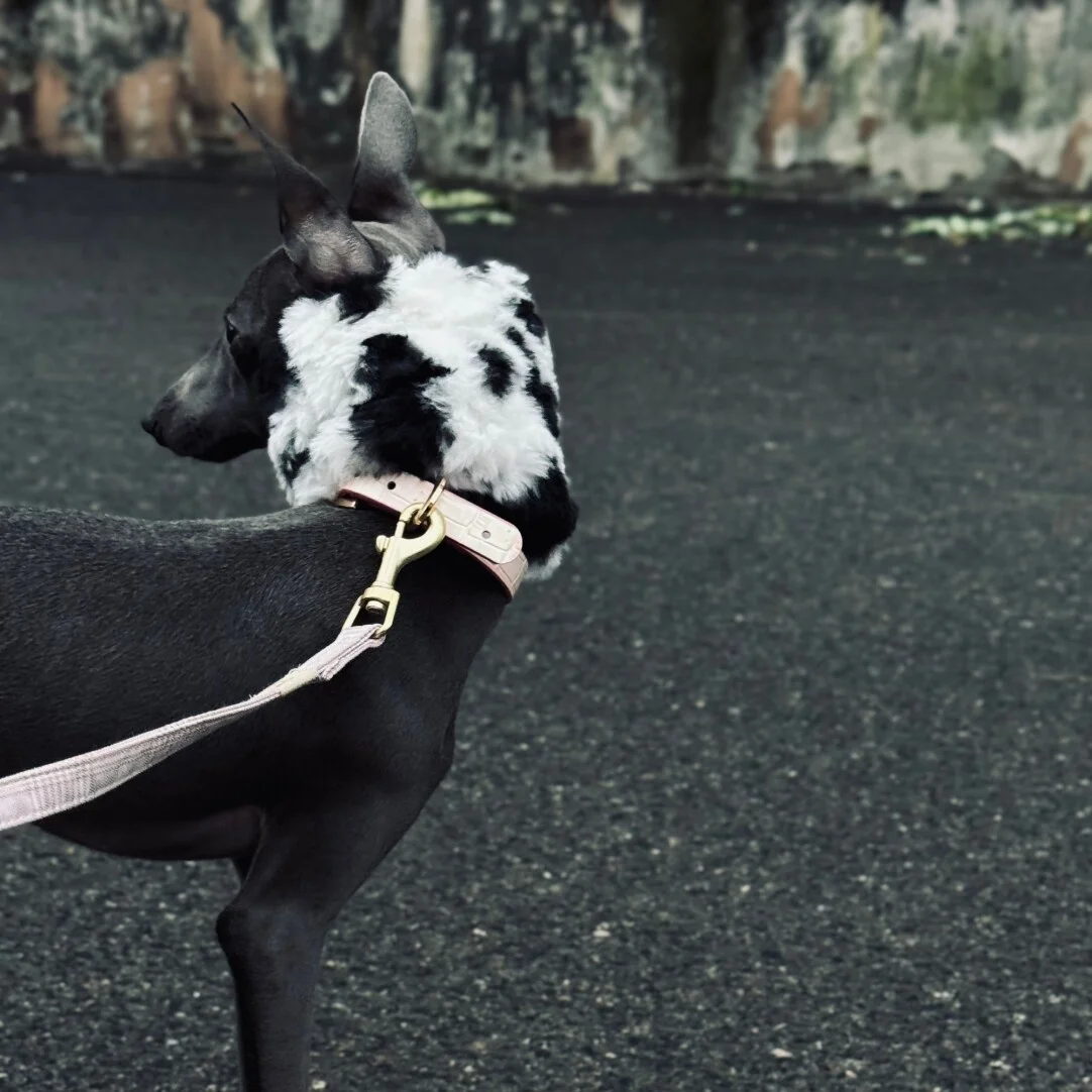 Orejeras anticongelantes cálidas para exteriores para perros en otoño invierno bufanda de lana suave y agradable para la piel en blanco y negro para galgo italiano - imagen 5