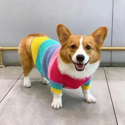 Suéter de invierno para perros arcoíris - Navidad Bulldog francés