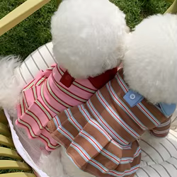 Conjunto verano rayas para perros – Ropa cómoda y fresquita