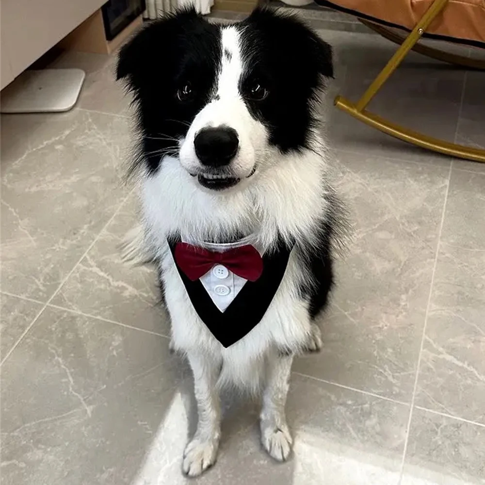Pajarita para perro guapo, accesorios para fiesta de boda para perros pequeños, medianos y grandes, vendaje Triangular para cachorros y perros grandes de alta calidad - imagen 3