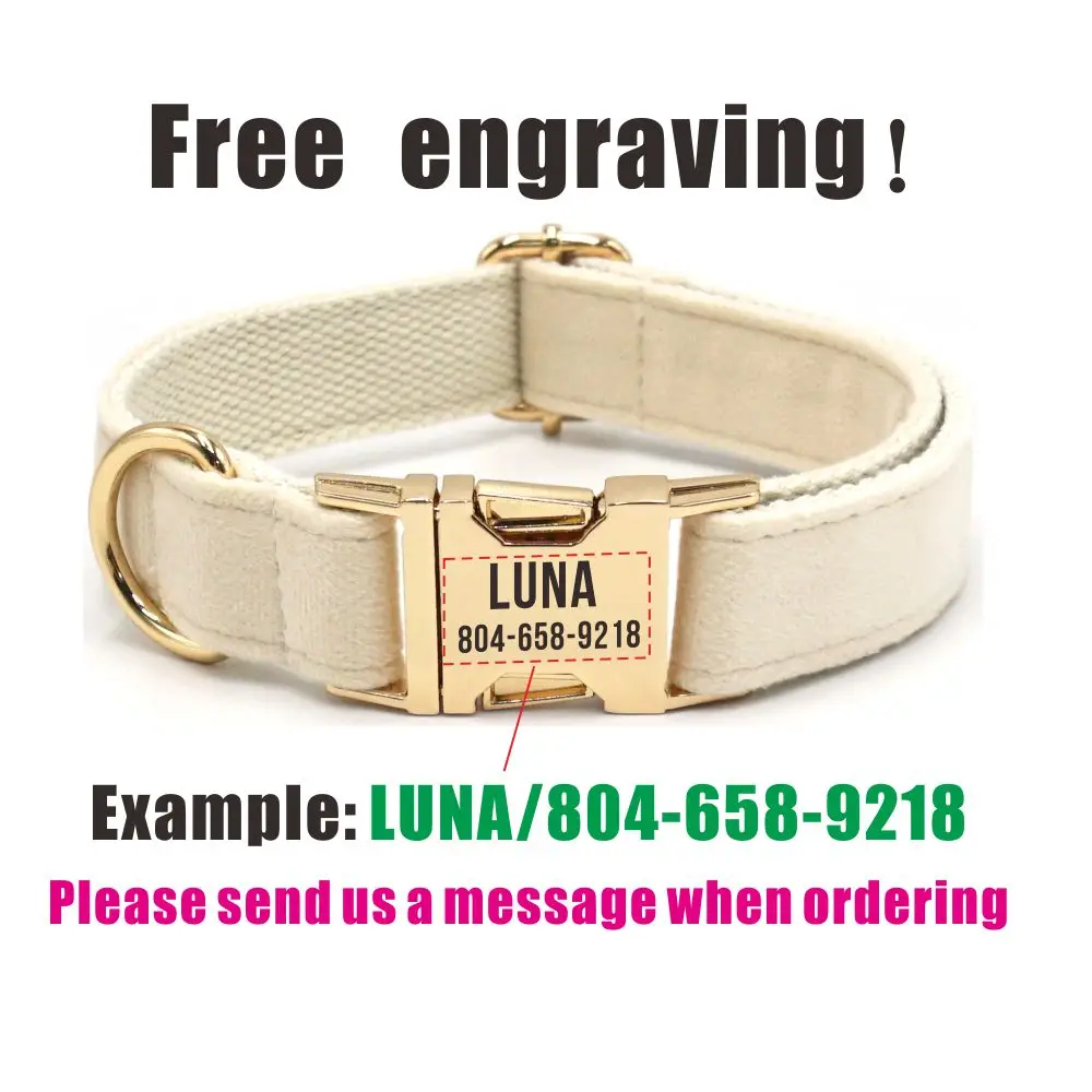 Personalized Multie Color Soft Velvet Dog Collar Customized Free Engraving Puppy Pet Collar Matching Leash Available - imagen 4