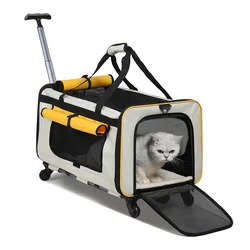 Transportín/mochila plegable para gatos – Ligero y transpirable para viaje