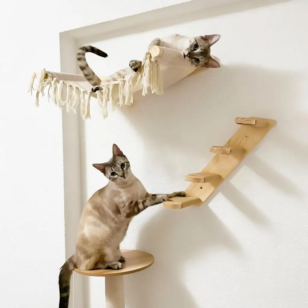 Estante de pared para gatos con escalera, hamaca y sisal