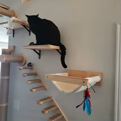 Centro de actividades de madera para gatos – Rascador, hamaca y escalada en pared