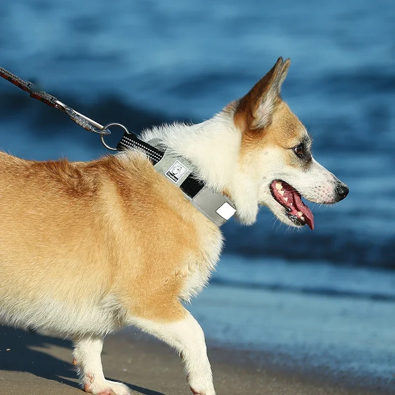 Winhyepet-Collar militar de nailon personalizado para perros, collares de entrenamiento ajustables para mascotas, tela táctica más gruesa para exteriores - imagen 4