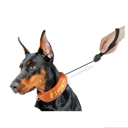 Correa retractil 2 en 1 para perro con cuerda automatica duradera