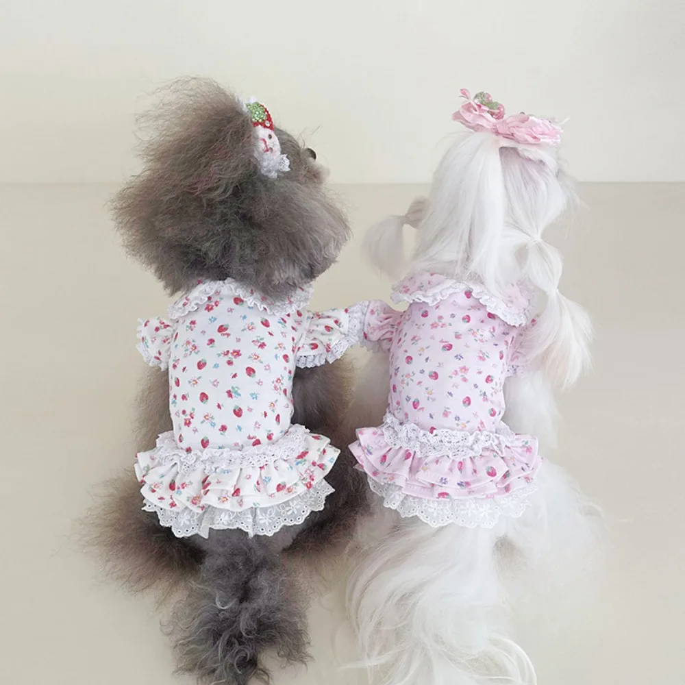 Top de manga voladora de encaje Floral para mascotas, falda de princesa con Base de manga voladora de encaje Floral de fresa para primavera y otoño, ropa para cachorros - imagen 3