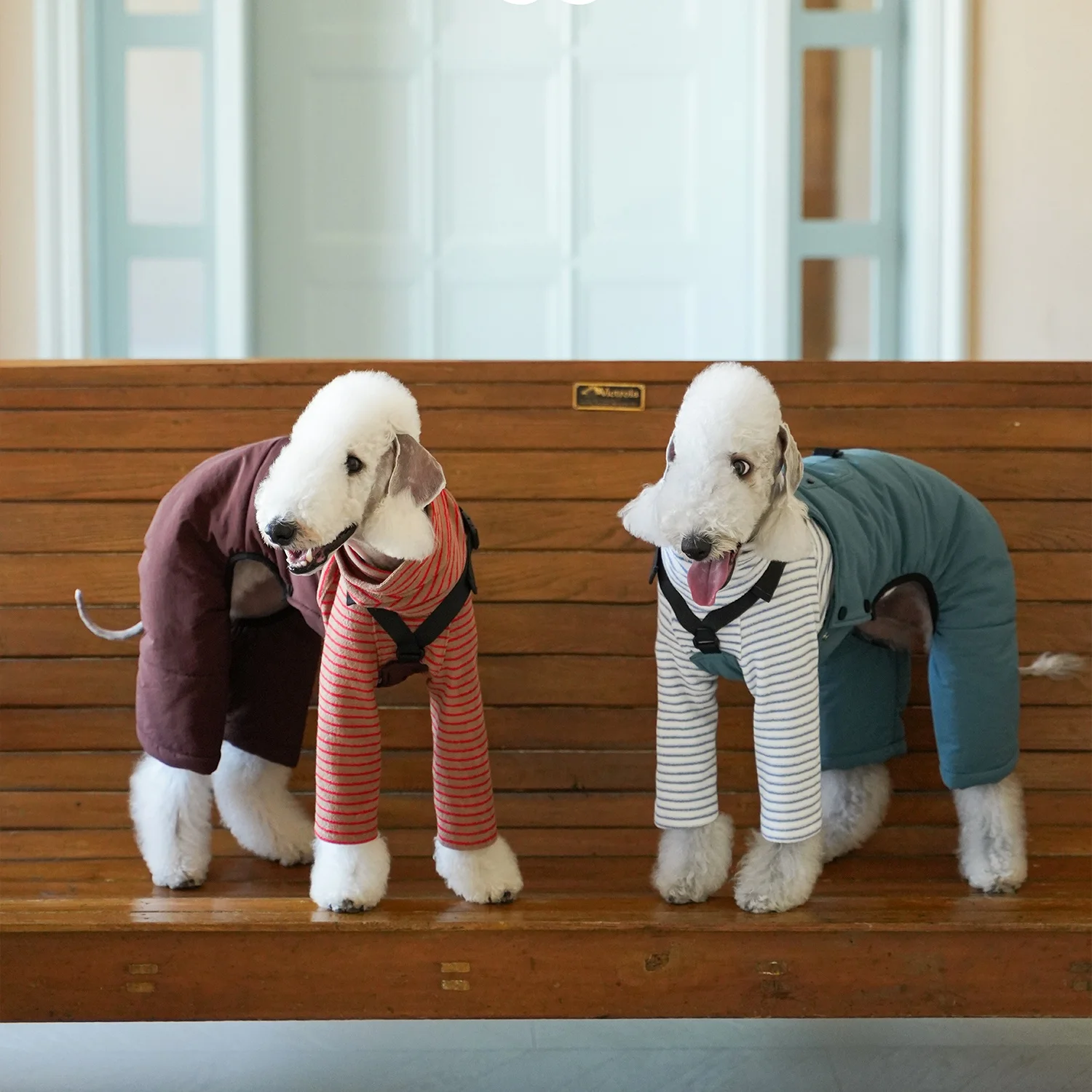Mono cargo de algodón grueso y cálido para Bedlington Otoño Invierno Manga larga Camiseta de rayas rojas blancas Traje de pantalón suave para whippet Traje clásico de estilo británico para perros medios en clima frío - imagen 2