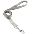 Gray Leash