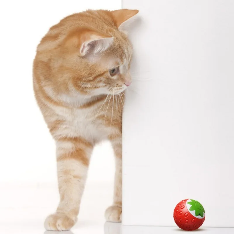 Pelota rodante de fresa para gato, juguete eléctrico para gato, resistente a golpes, pelota para saltar, 1 ud. - imagen 4